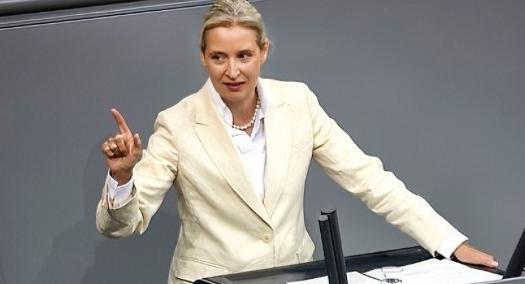 德国选择党联合主席魏德尔表示，欧洲必须承认这样一个现实，如果没有俄罗斯的参与，欧