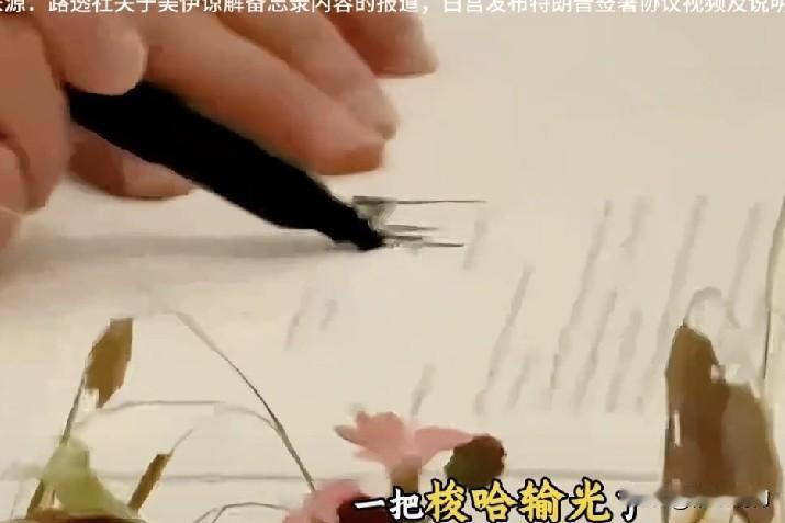 美国赢了？凡尔赛的“纸面和平”与中东的“流血现实”
      美伊于凡尔赛宫达