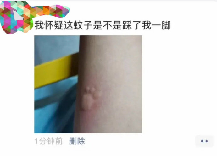 我怀疑我被蚊子踩了一脚 