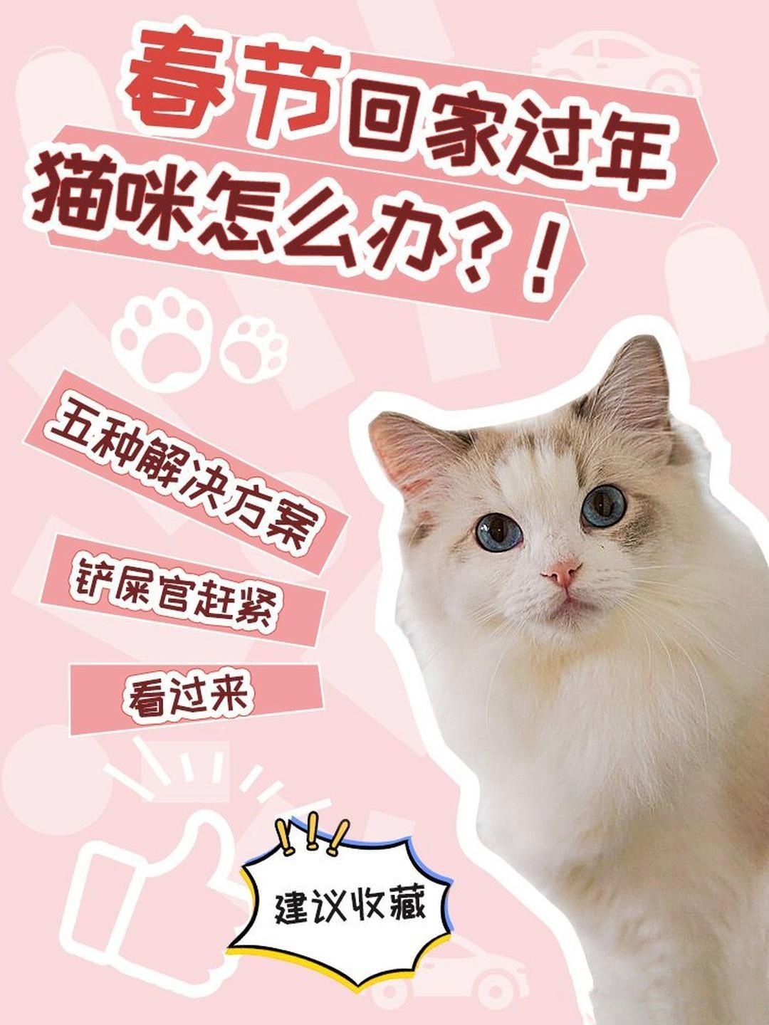 猫狗开启春运铁腚模式  每年春节，猫狗如何管理，是令不少猫狗主人头疼的问题。春节