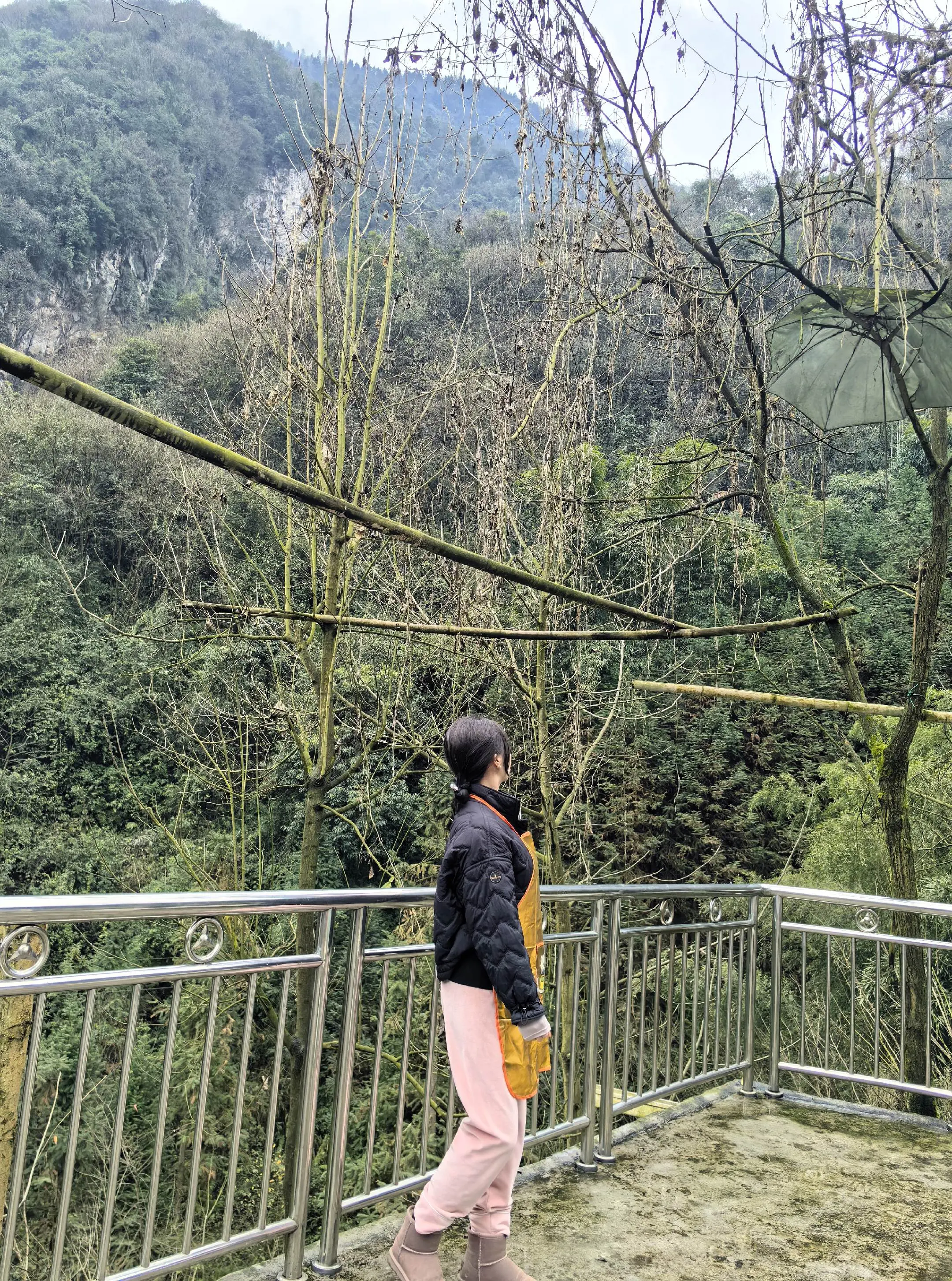 贪恋老家的围裙，已到达广东🤗🤭