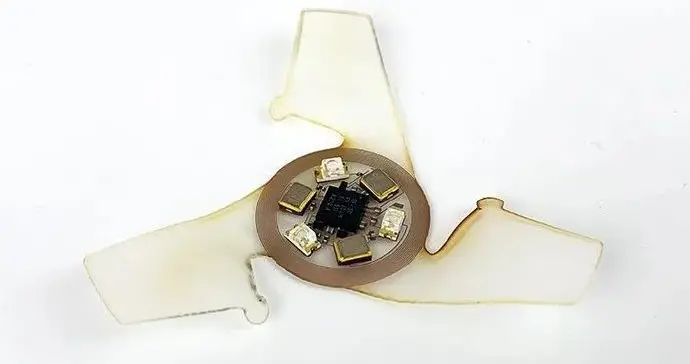 飞行器 比沙粒还小：人类迄今为止建造的最小的飞行结构