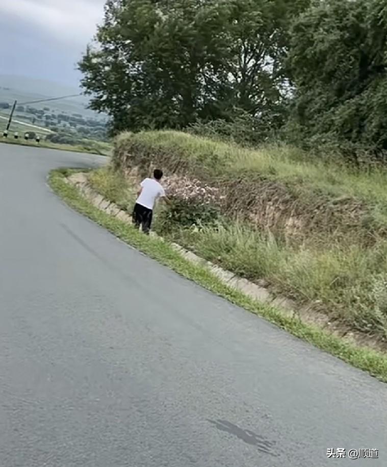 咳，怎么能随便就找个人谈恋爱呢？人和人是不一样的。
男生看见路边有一大株野花，跑