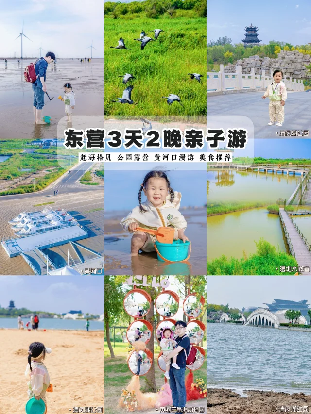 东营遛娃 超适合周末自驾去的宝藏小城