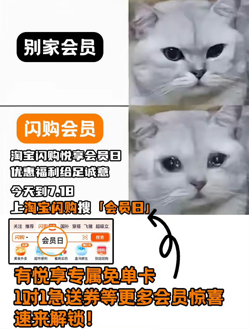 淘宝闪购会员日每月17日解锁专属权益美团会员外卖会员美团神券居家看球美食7月17