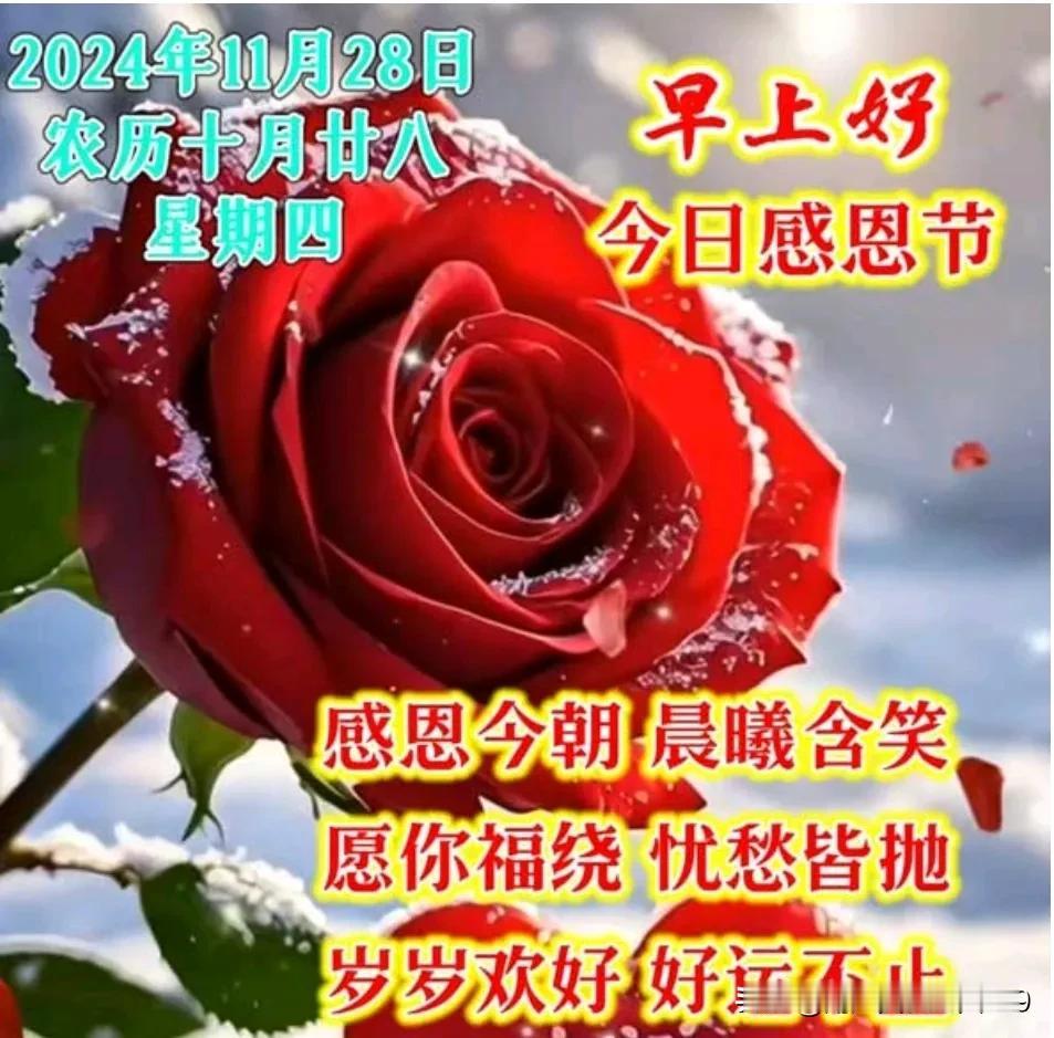 今天是感思恩节，在这个美好的日子里，感恩生命中遇到的每一个人，感恩一路上一直陪伴