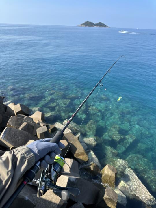 实时播报｜今日海南打龟日记