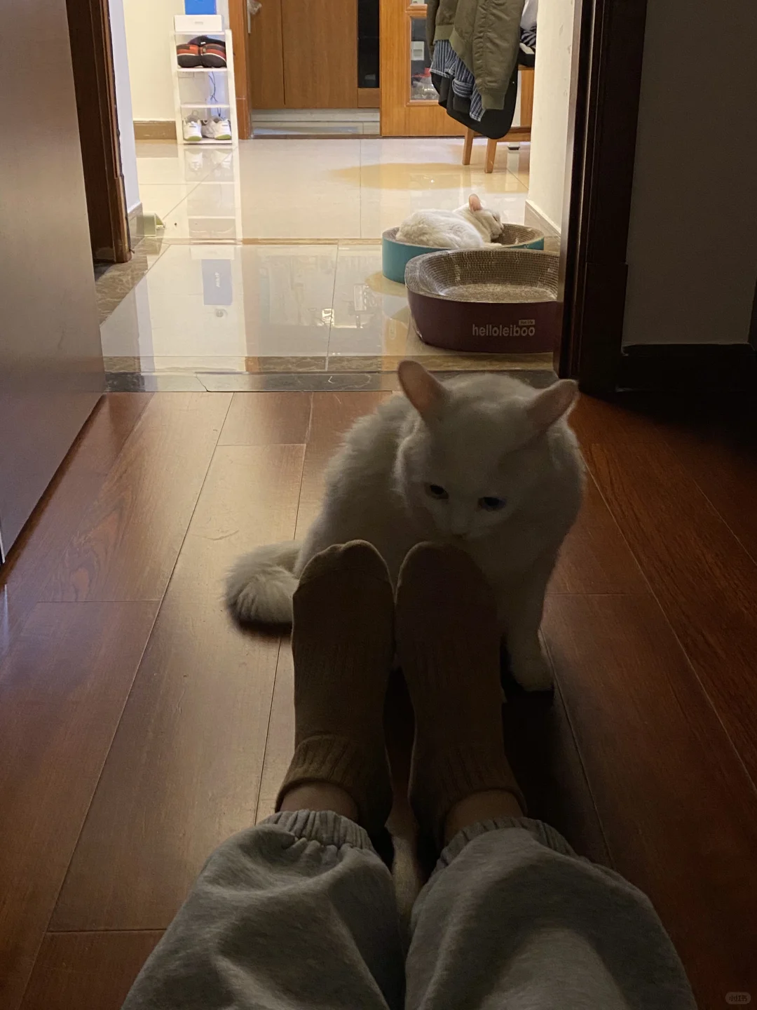 🧦香不香？