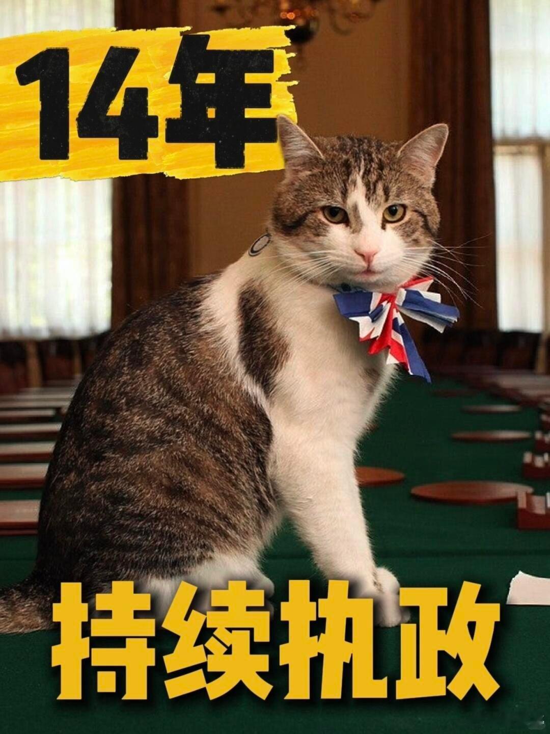 流水的英国首相铁打的猫咪Larry:辅佐过6任首相，战绩可查！ 