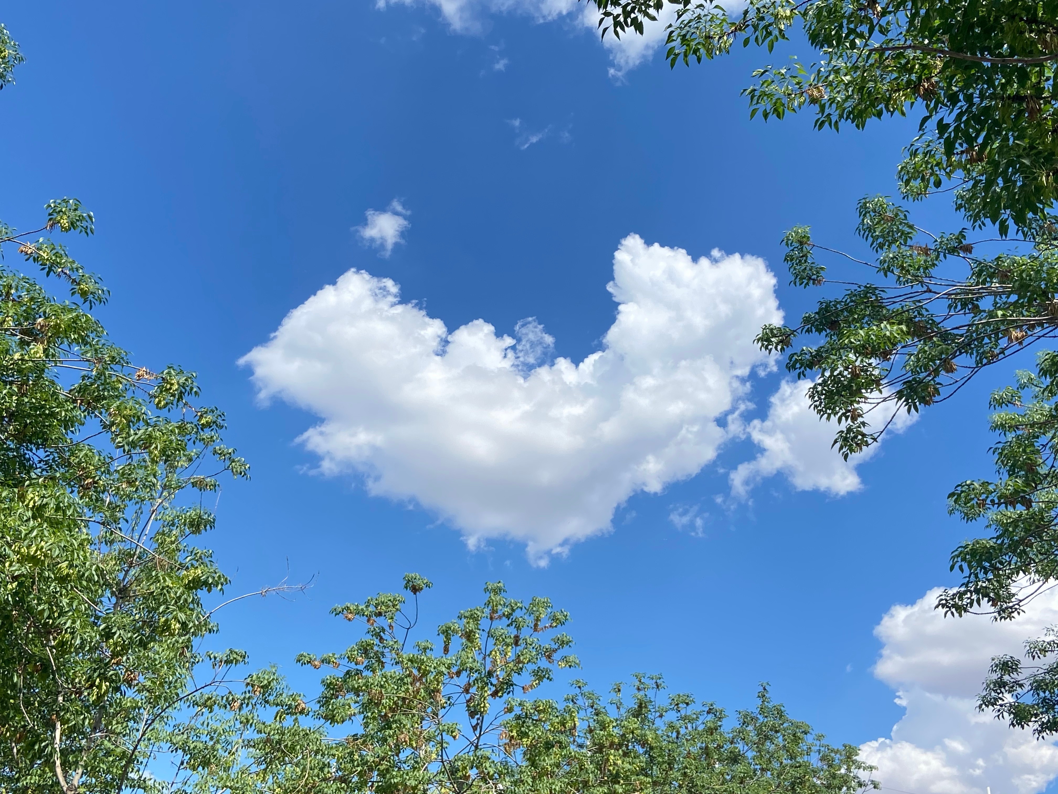 天空都是爱你的形状[羞嗒嗒]​​​