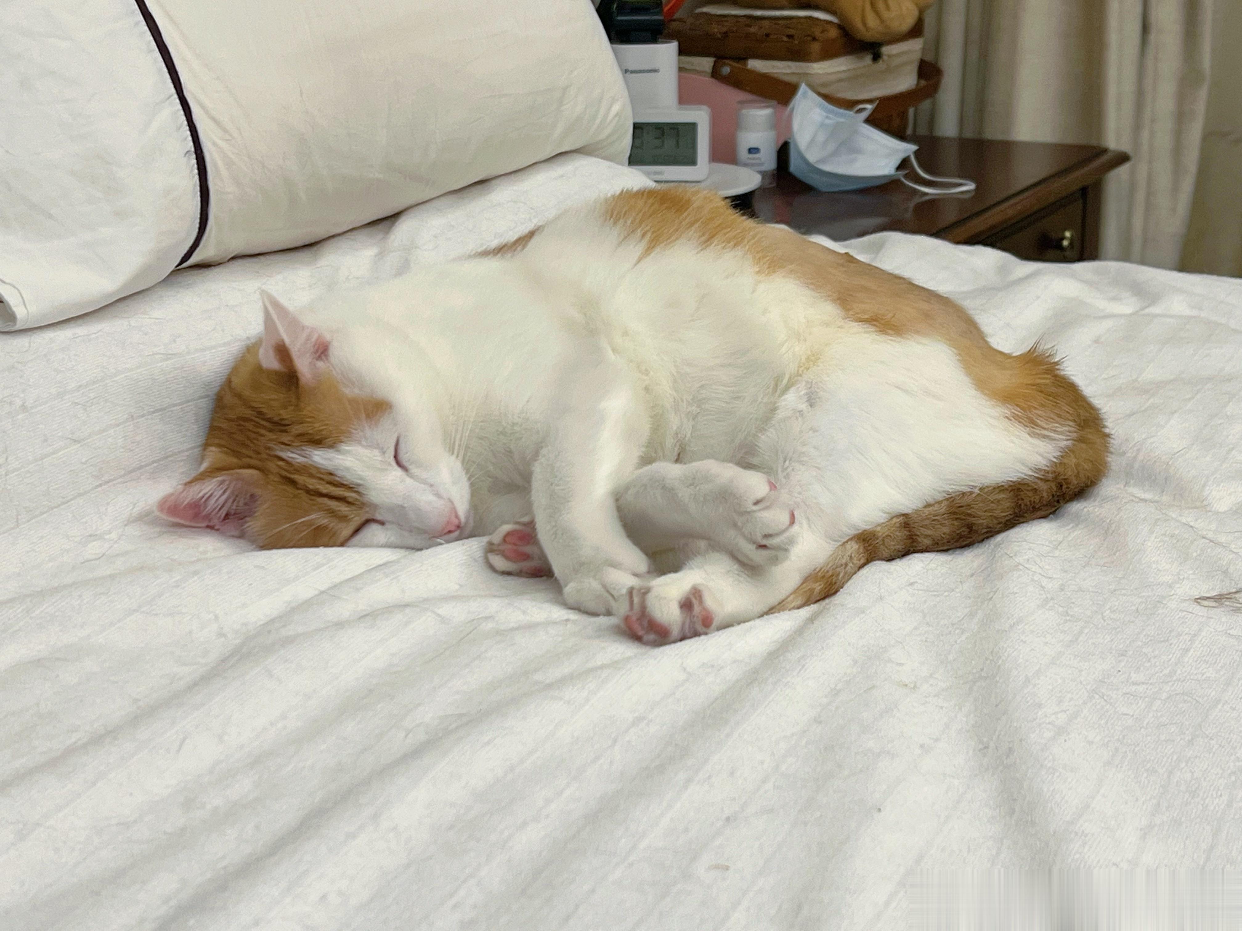 想我的丑猴猴啦[泪] ​​​