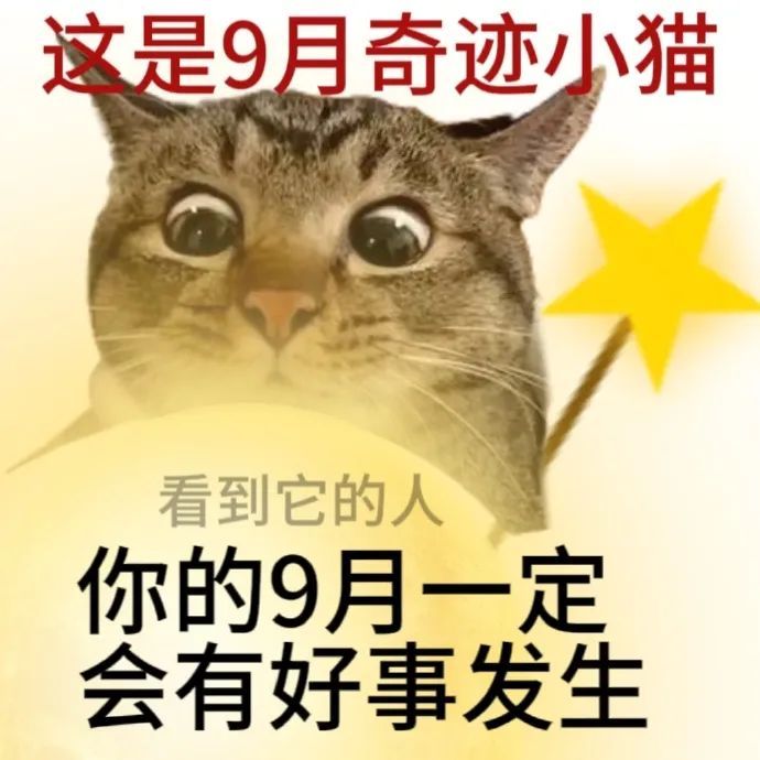 前段时间抖音立了个小号，发的作品全是汉服，虽然没啥人看到但是那个号对我来说真的很