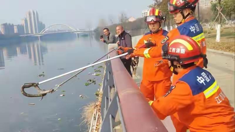 江西宜春上高县消防紧急处置“散步”的眼镜蛇事件引发关注

近日，江西省宜春市上高