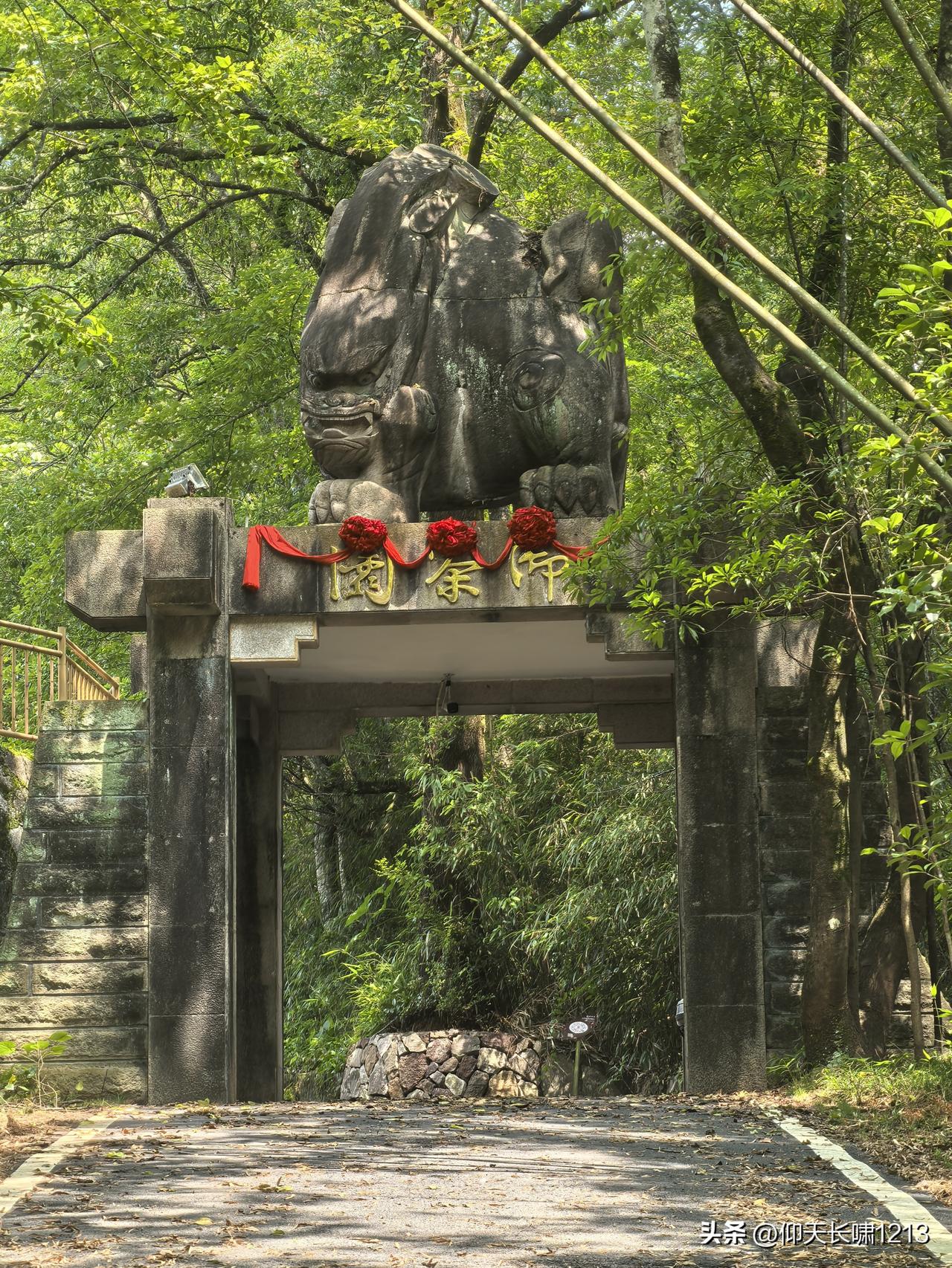 参观岩骨花香大红袍母树，聆听武夷山大红袍·岩骨花香民间传说（状元报恩完整版）
