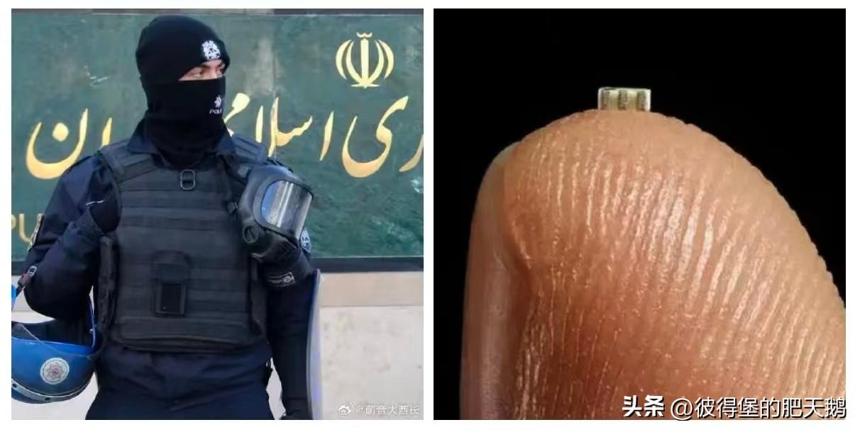 最近伊朗情报部门破获了一起隐蔽的间谍案，核心线索是几名身份还没披露的外国游客，他