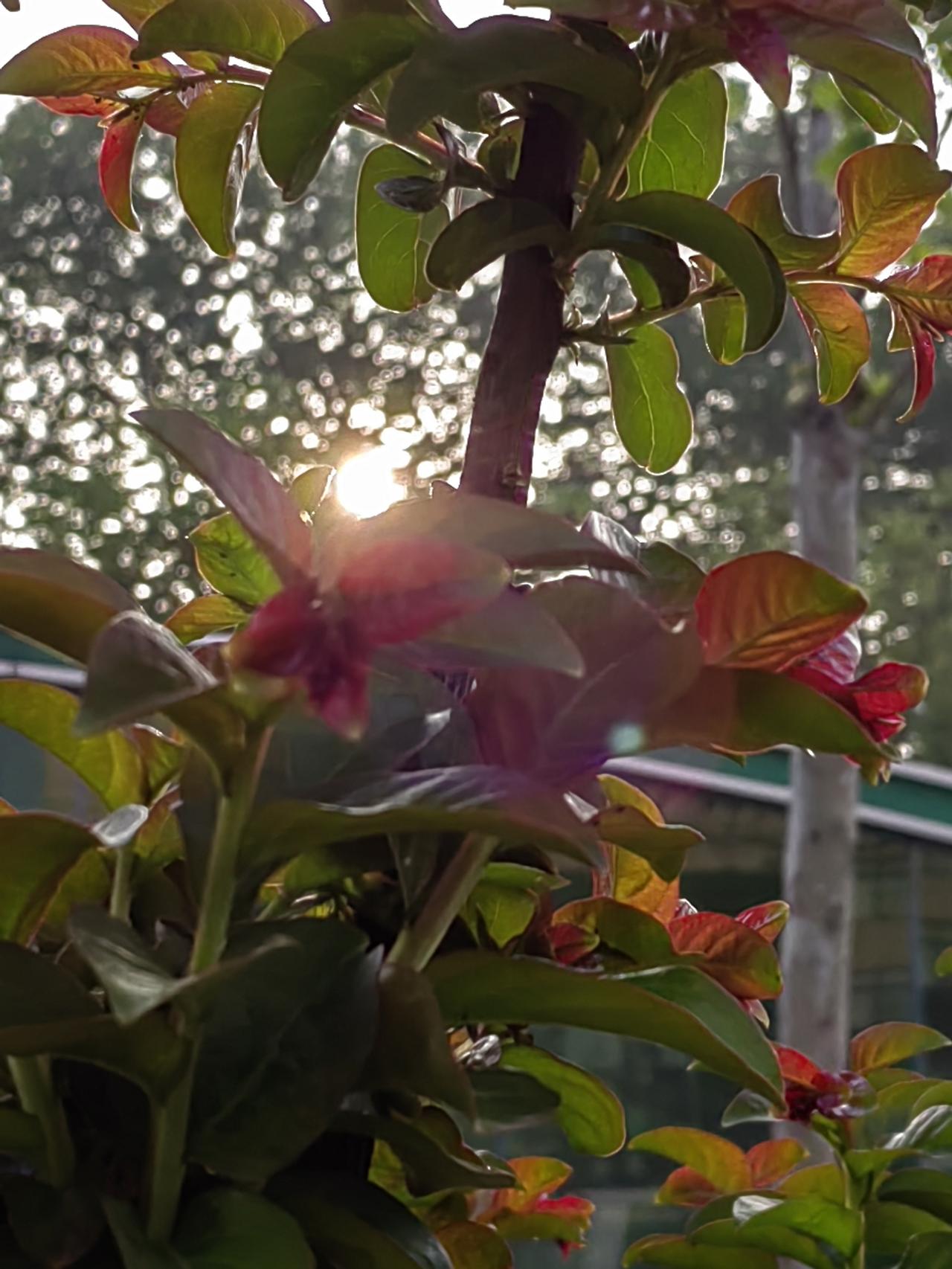 上联：踏春夏秋冬路，求下联怀日月星辰心