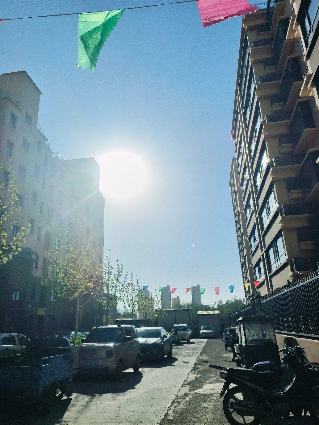 天气真好，有点晃眼睛