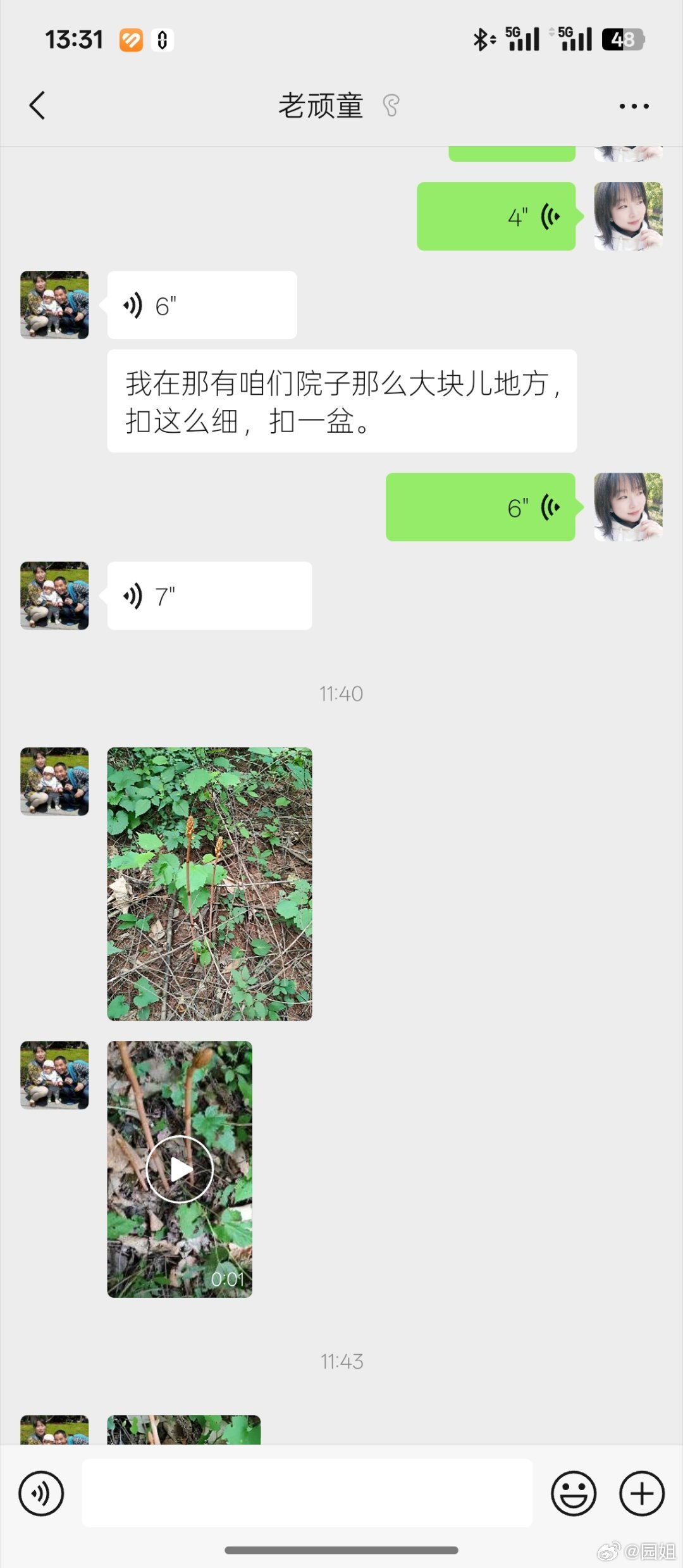 老顽童不接电话的原因是上山挖天麻去啦。还挖了这么多[并不简单] ​​​