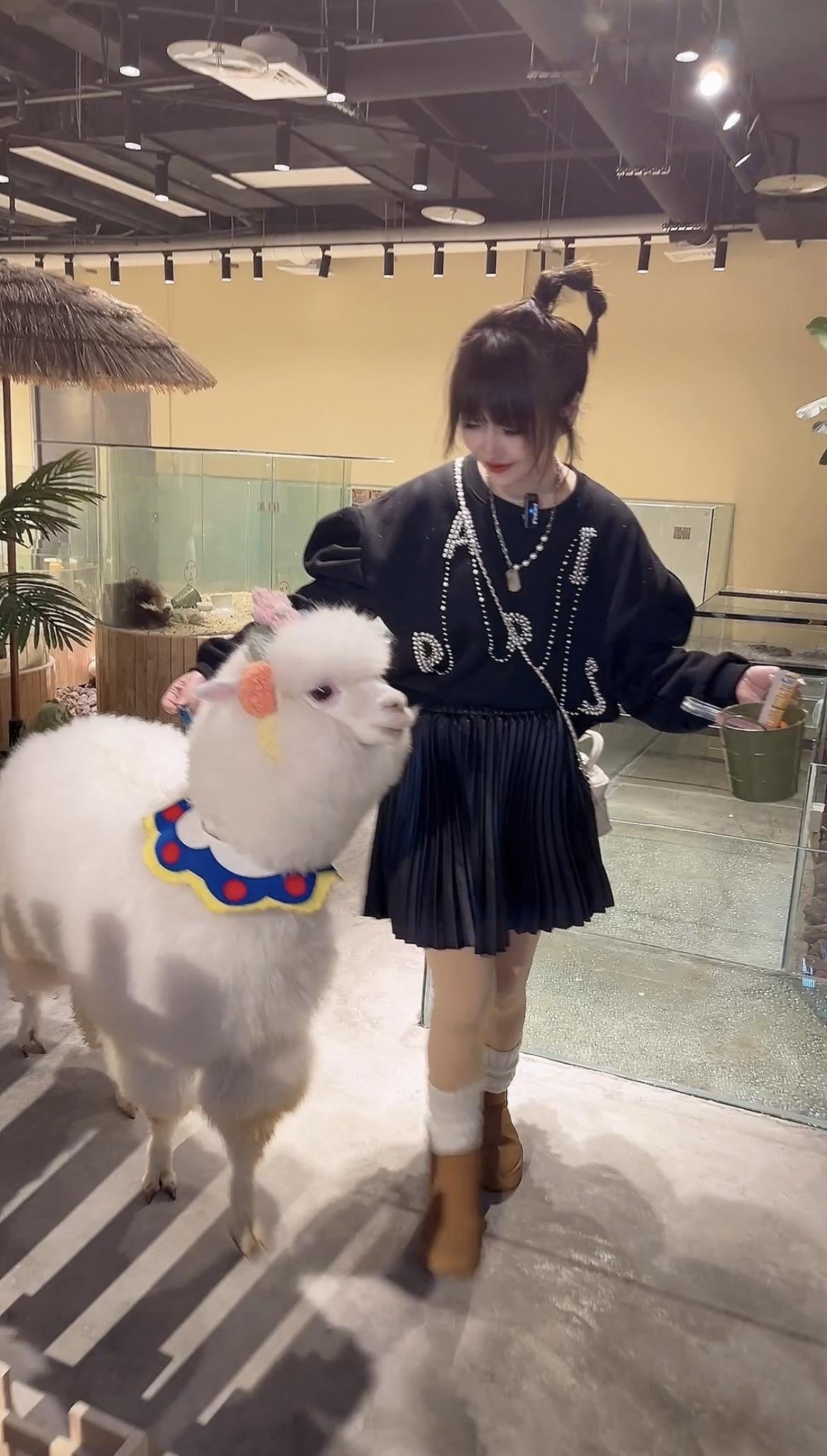 芭菲盛宴
