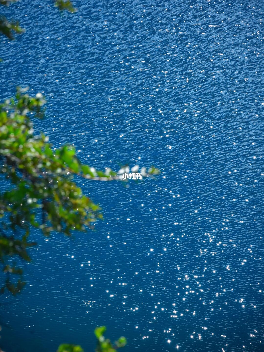 以为洱海已经很美了，直到我去了...