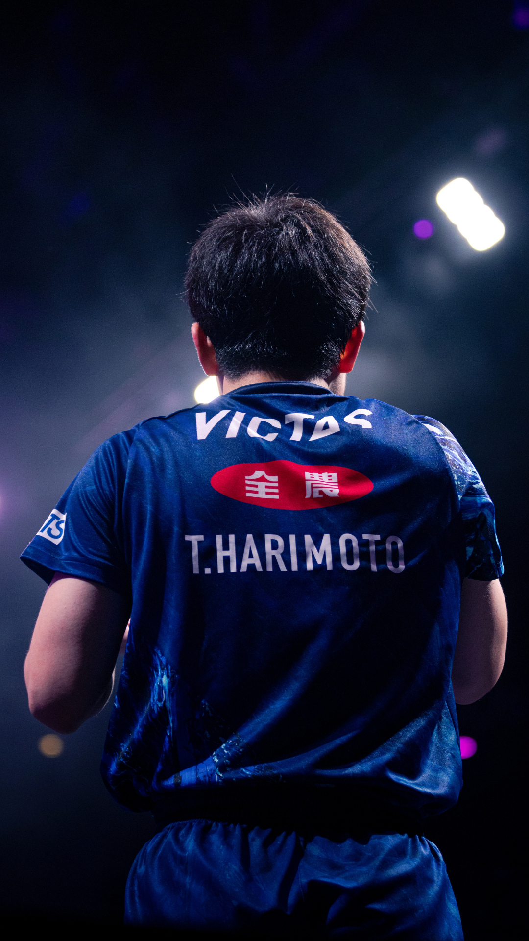 张本智和相关手机壁纸cr. pongistic 