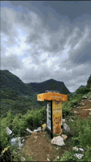 “这年头，连冰箱都成精了！”贵州一座野山上，男子累得气喘吁吁，突然瞥见树丛里杵着