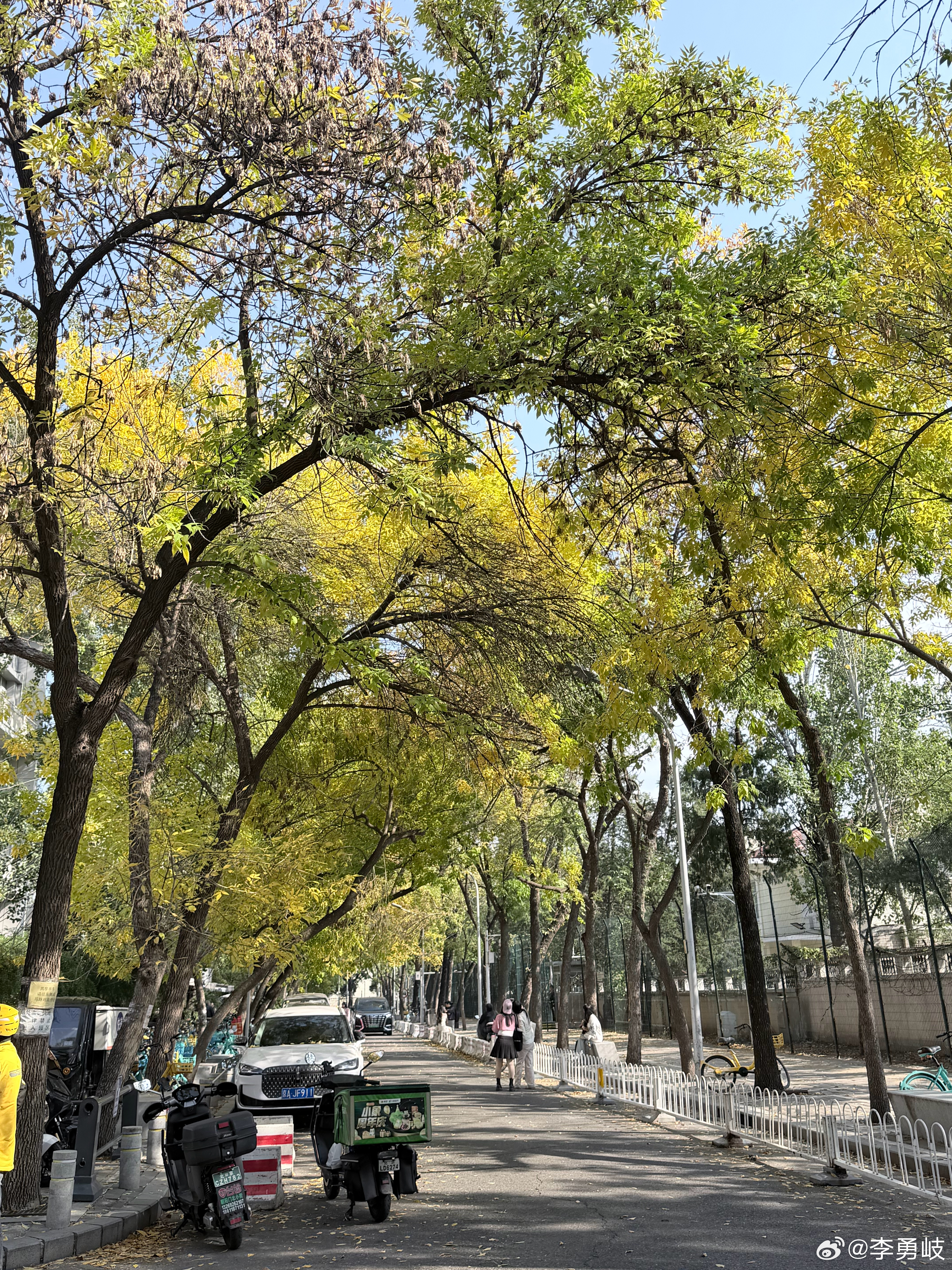 北平的秋天🍃🍂叶子还没全部变黄  ​​​