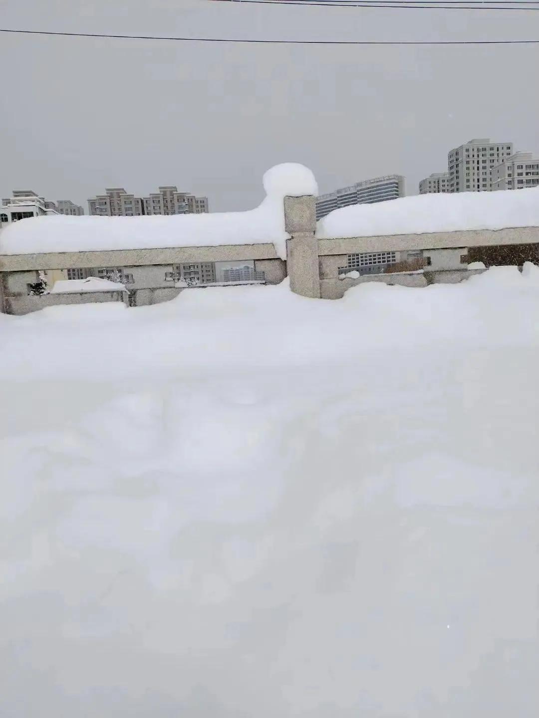 在山东暴雪的背景下，这座滨海名城依旧保持着极高的洁净度。街道不见残雪与垃圾堆积，