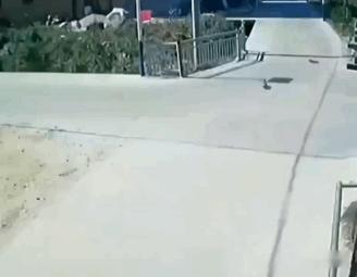内向的人被车撞就这样： 