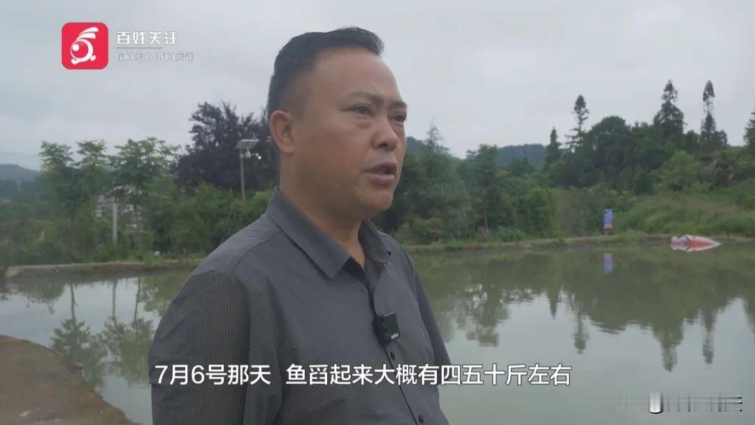 贵阳，一男子开车时手机滑到脚边，低头捞手机的功夫，车扑通扎进鱼塘。不料，男子破窗