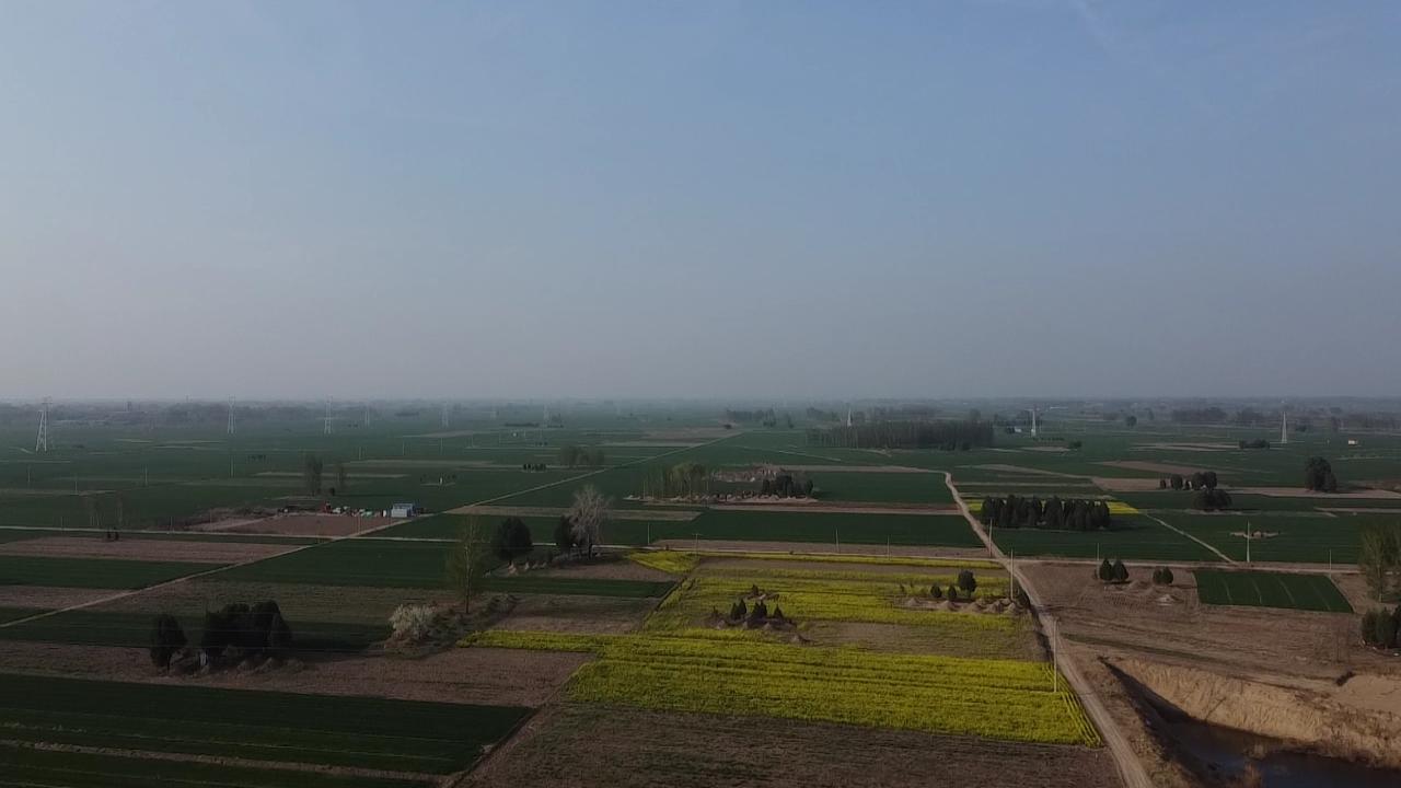 河间人对野菜的执念，春风一吹，田埂便像被一支饱蘸淡绿颜料的笔，轻轻抹过，泛起一层