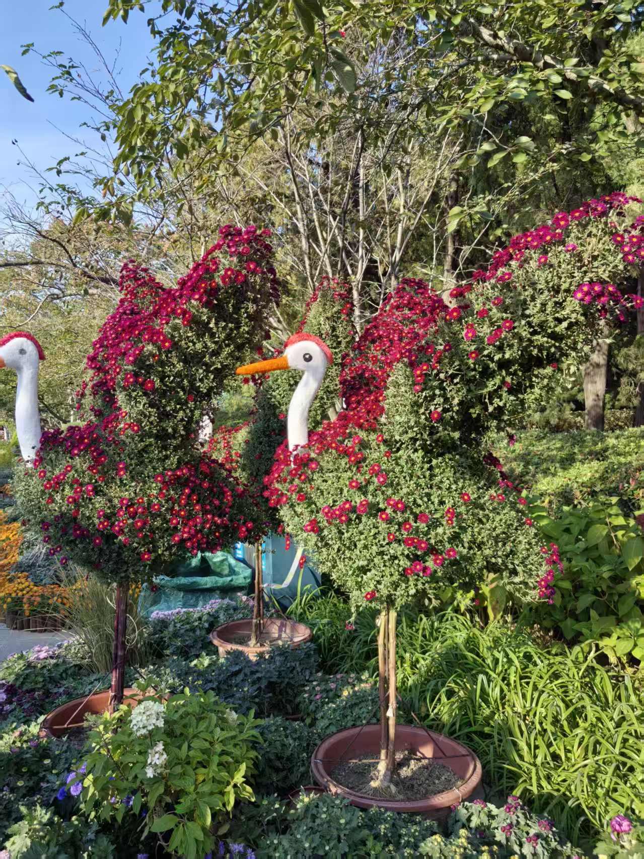 跌多涨少中局部看到了未来

市场今天跌多涨少。

新能源继续承受压力。

但科技