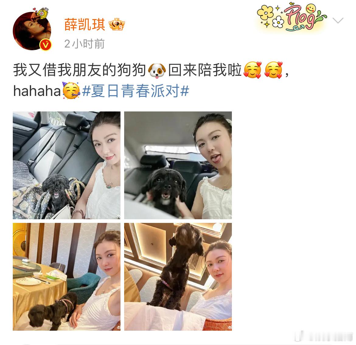 薛凯琪好超前的精神状态，我跟我的朋友借钱，薛凯琪跟朋友借狗，果然世界上不能没有修