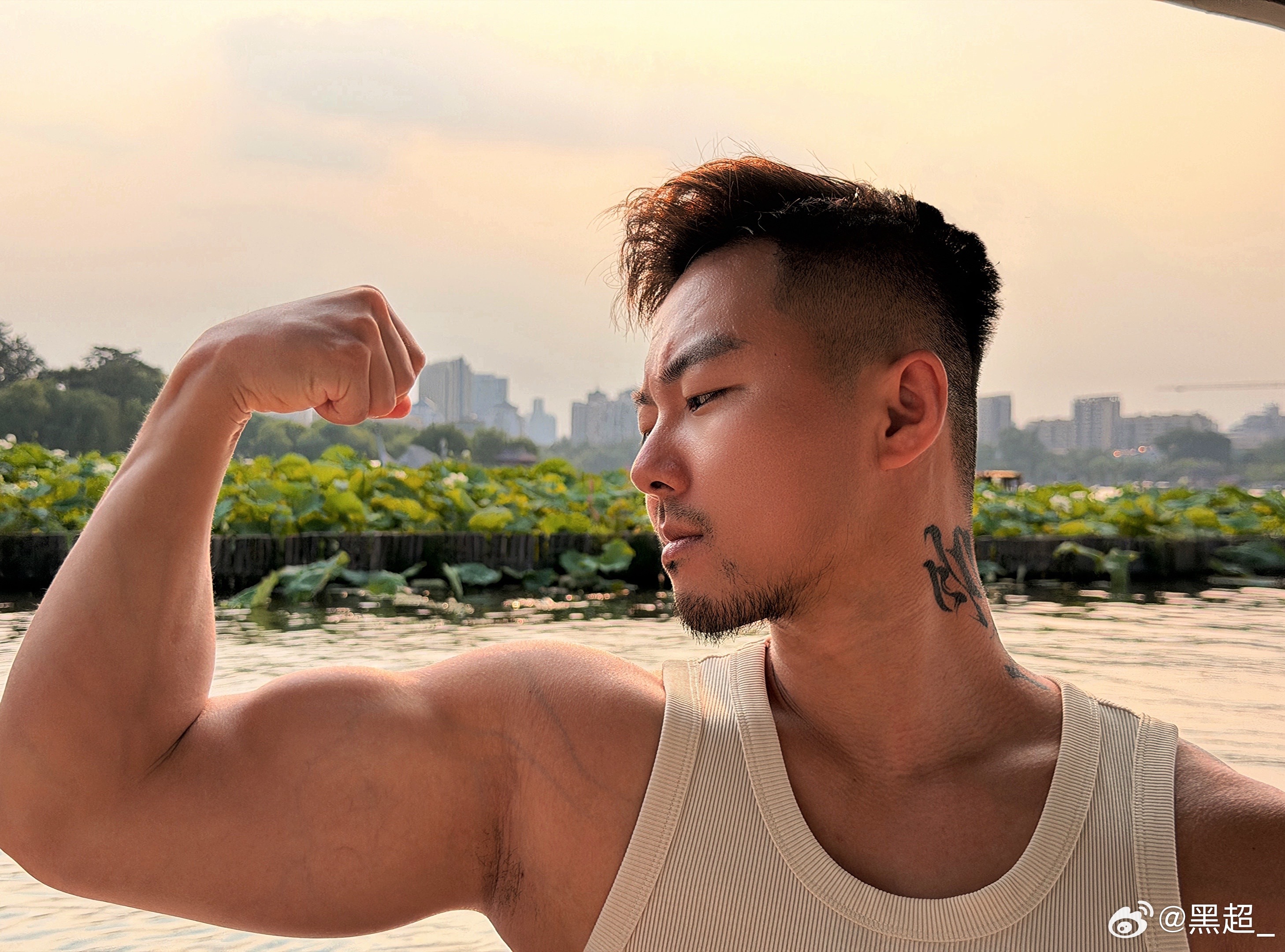 夏日 … 