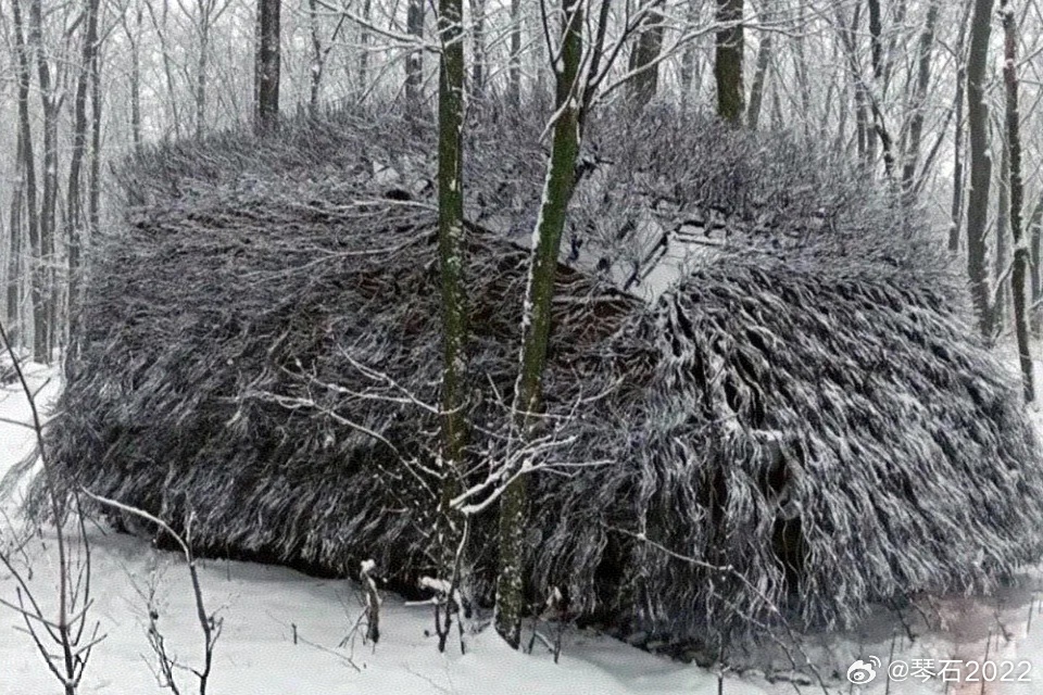 蒲公英坦克和刺猬坦克实际上可以归为一类。烽火问鼎计划关注俄乌局势最新进展陆军老大