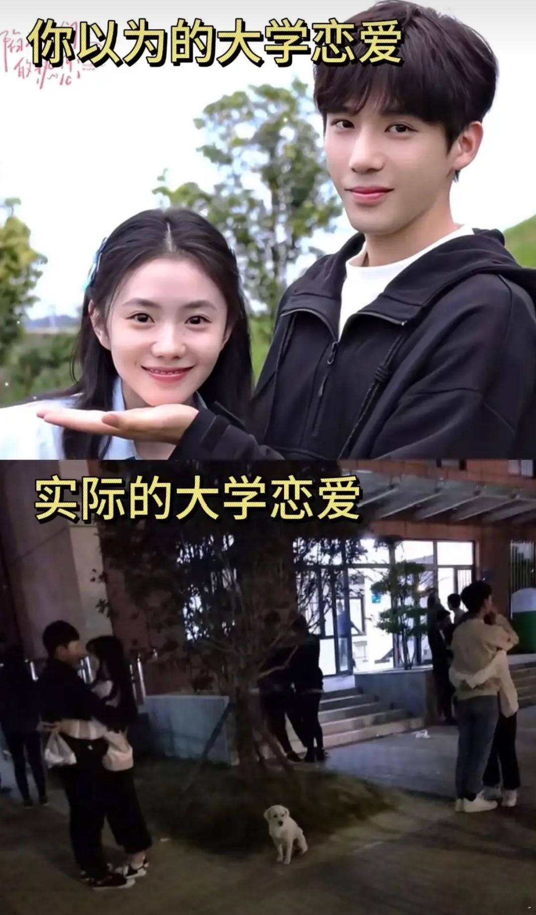 我认为的大学恋爱VS实际的大学恋爱 ​ ​​​