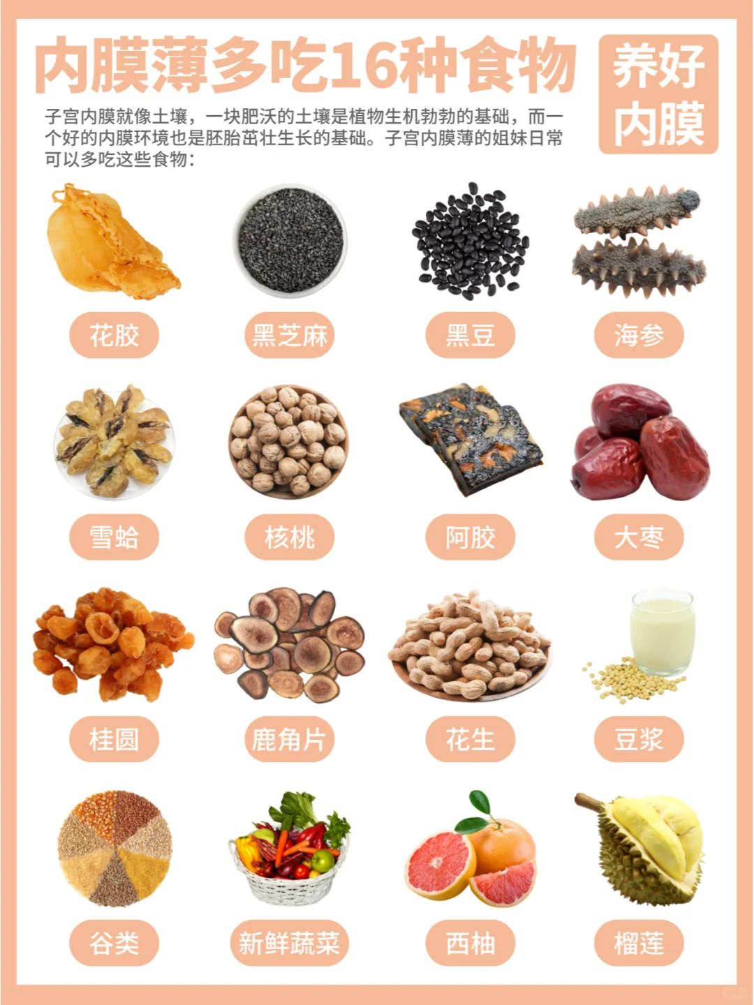 内膜涨不起来？内膜薄多吃这16种养内膜食物