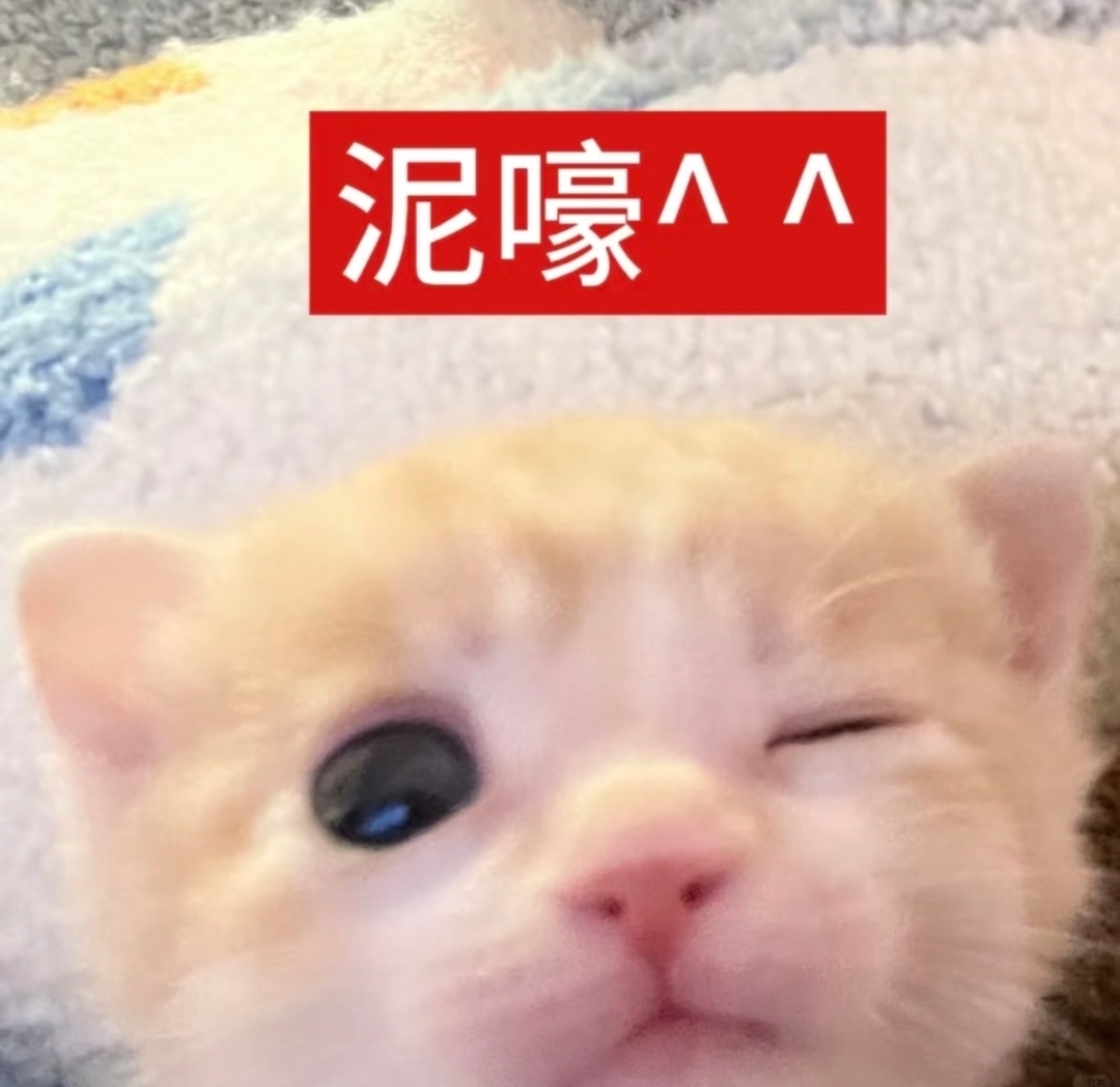 此号后面仅碎碎念/发牢骚，大部分时间不登录，无养铁需求双取随意，谢谢宝宝们这么长