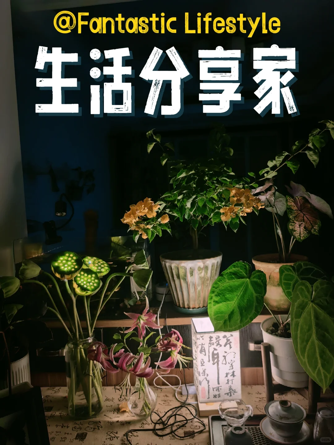 跟学自制莲蓬灯 氛围感来了