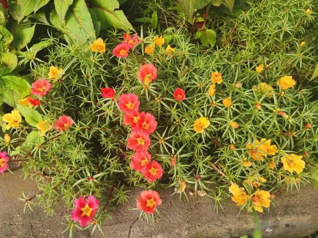 有健康身体
有赚钱能力，有存款
家庭幸福有人关心