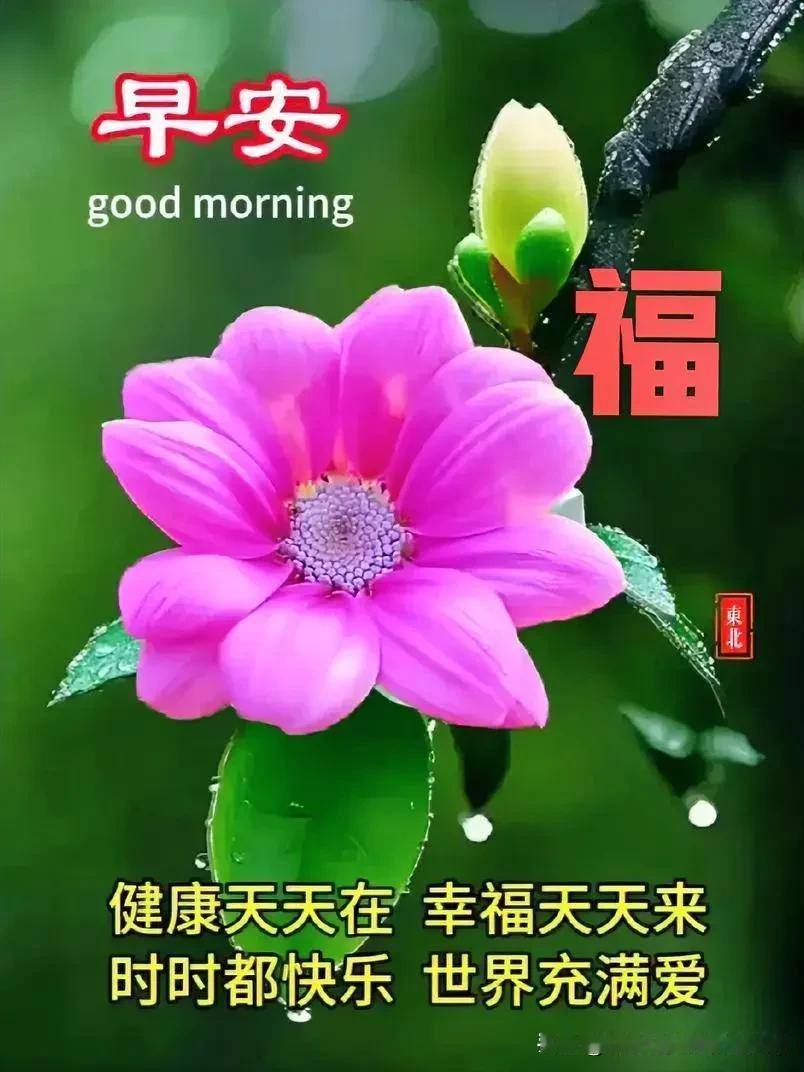 烈日炎炎似火焰，
蝉鸣声声扰人眠；

心若静水自安宁，
悠然自得度夏炎。
[微风