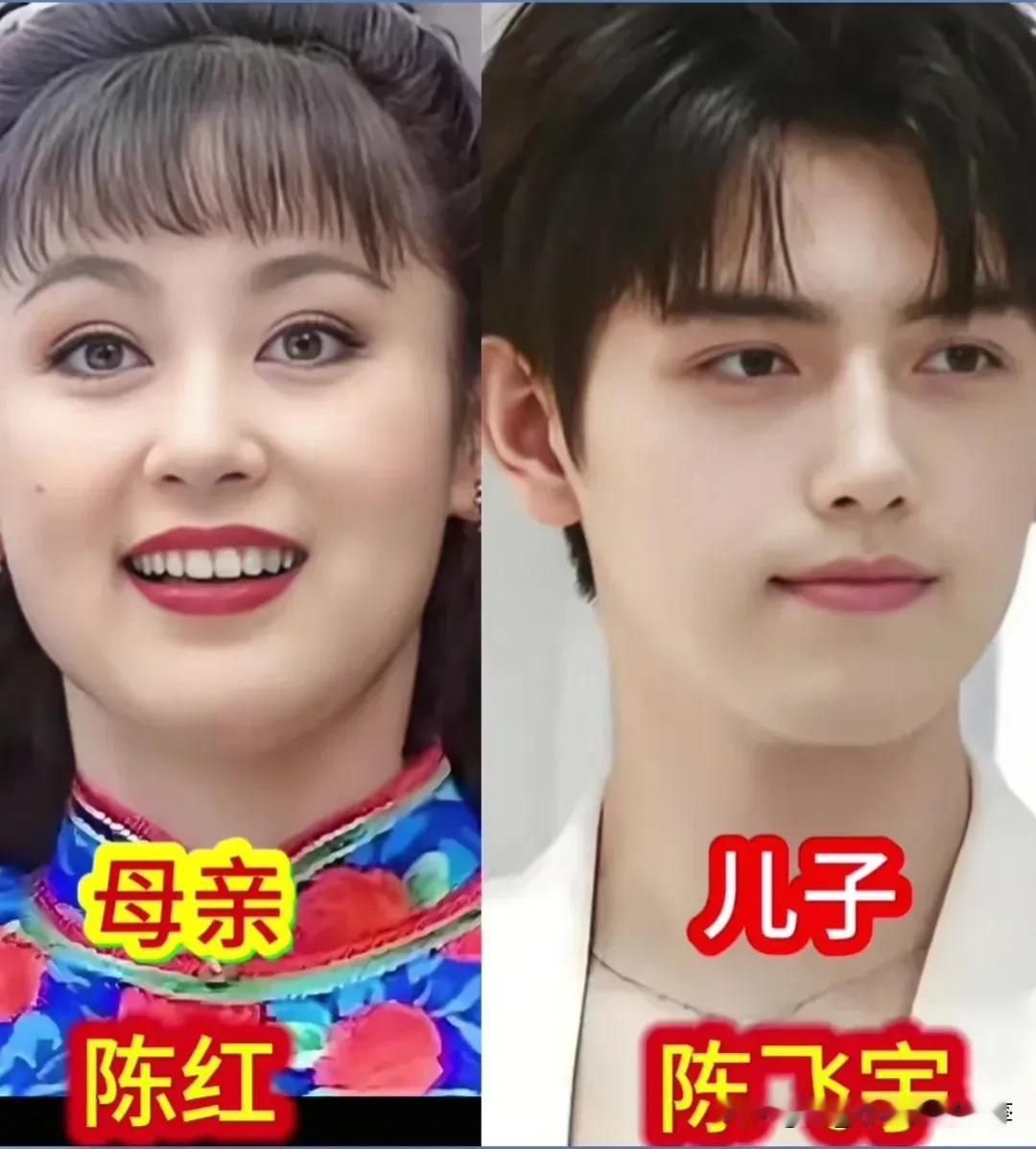 都说孩子会继承妈妈的颜值，看完这几组明星母子深有体会！
陈小艺的儿子长相帅气，眉