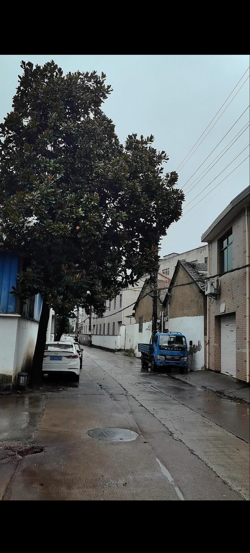 受台风白海豚影响，诸暨这边从昨天晚上下半夜下雨，下到了现在中午一直没停过。一直边