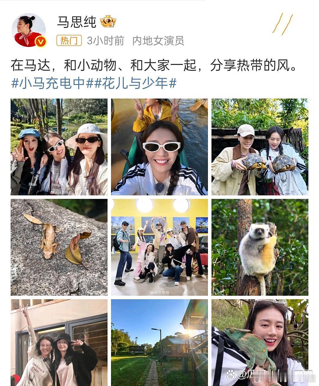 马思纯晒与花少团成员合影￼那英看🐢的表情一言难尽，马思纯成功出片！ ​​​