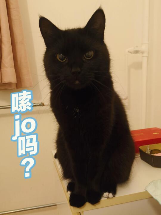 优良嗜好