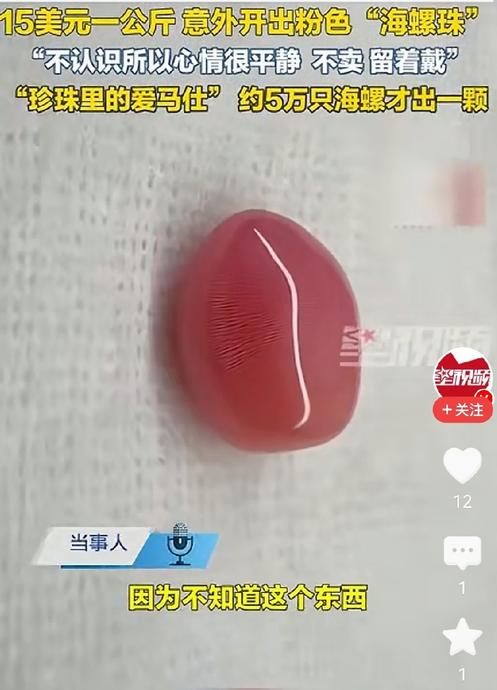 9月16日，一女子在加勒比海沿岸，以15美元一公斤的价格买下当地海螺准备炖汤。没