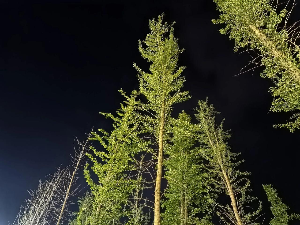 外边一点不凉快，北方的夏天确实太热了