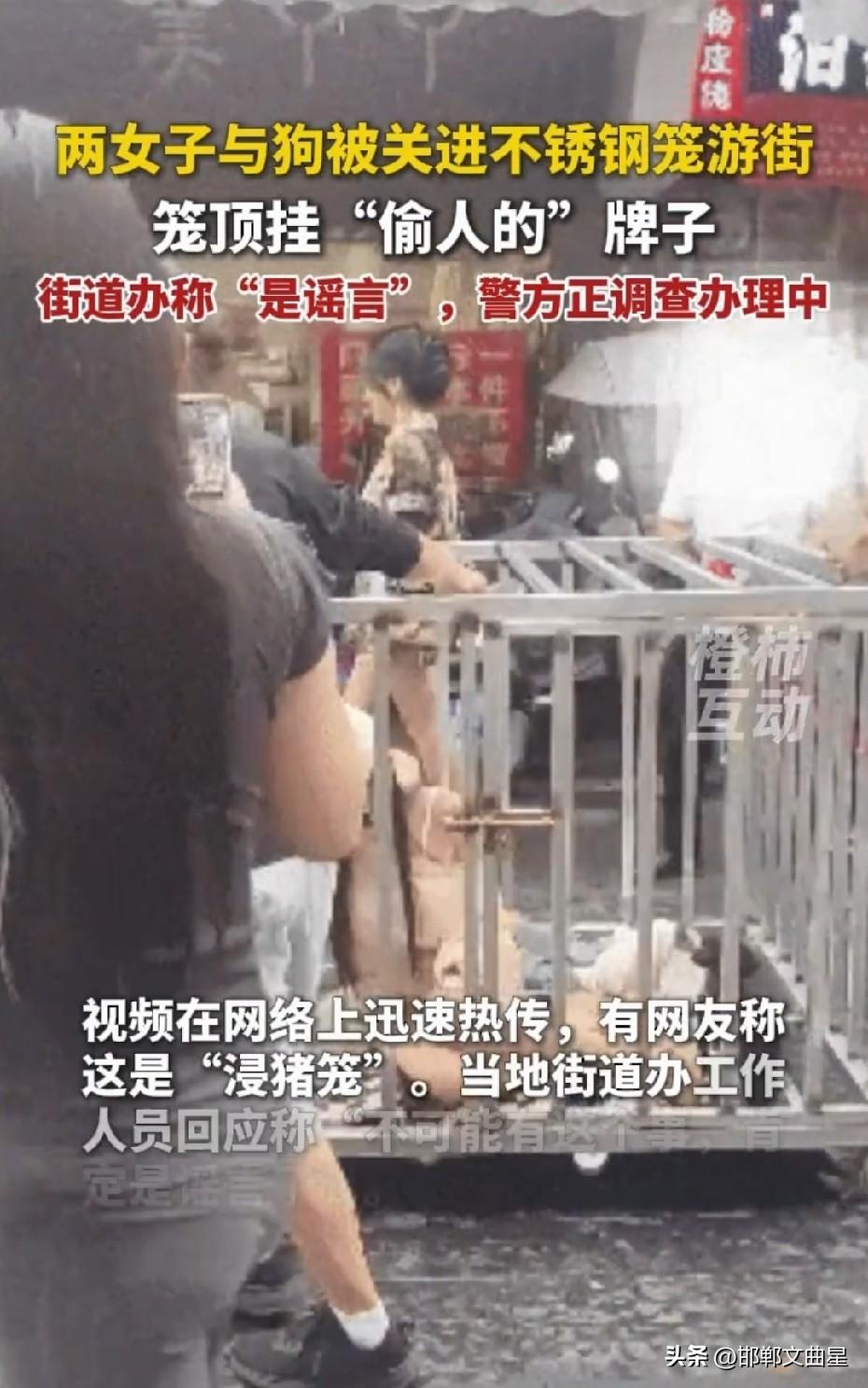 大快人心！为博流量搞“铁笼游街”，博主打着剧本幌子被刑拘，流量不是违法遮羞布
 
