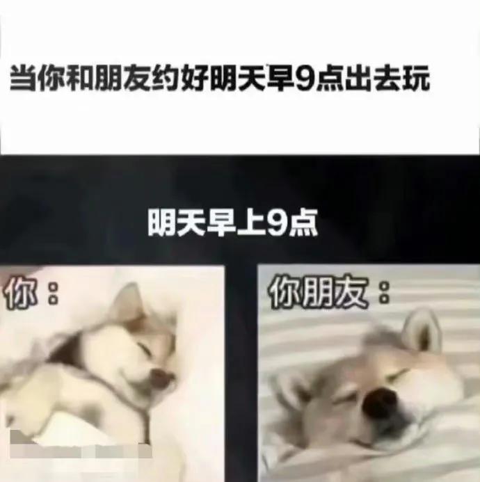 人间真实[呲牙]