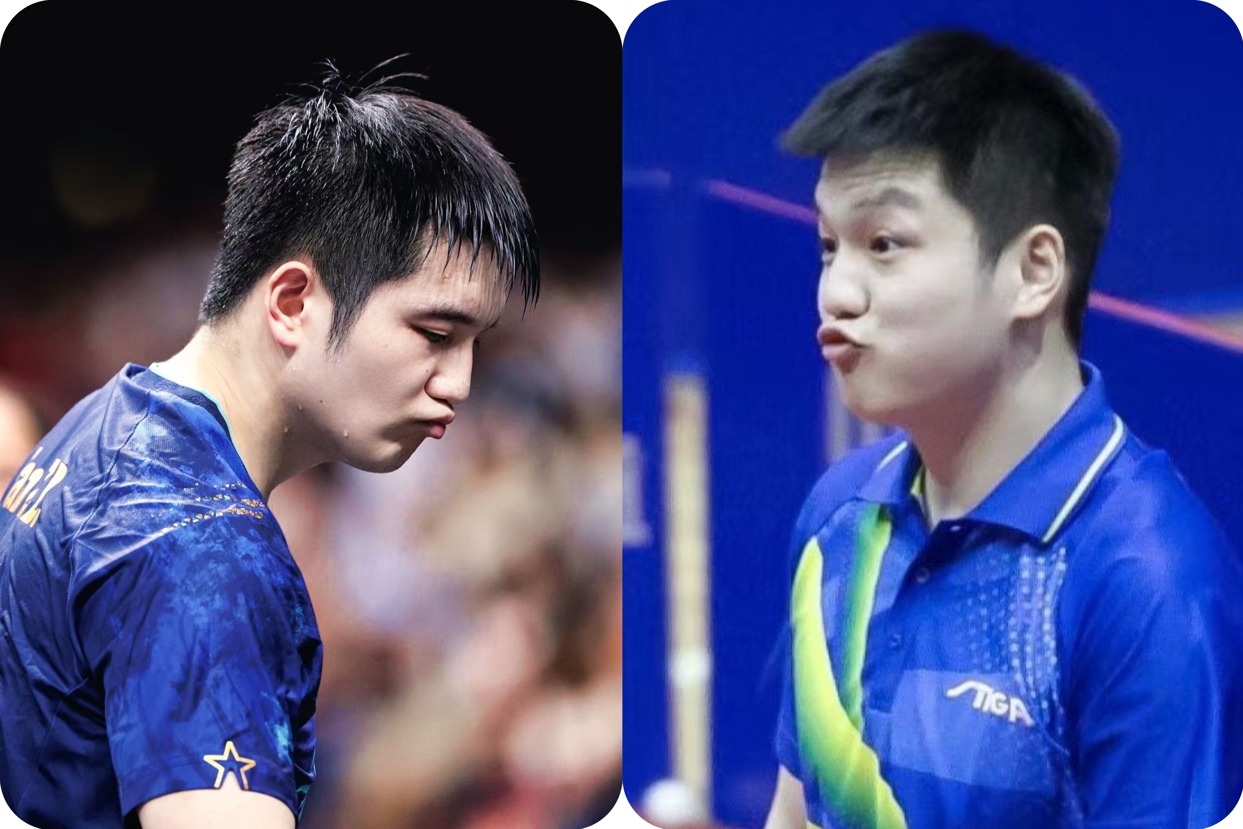 可爱被樊振东夯爆了。囧架架，囧架架。亚比～囧囧囧东 